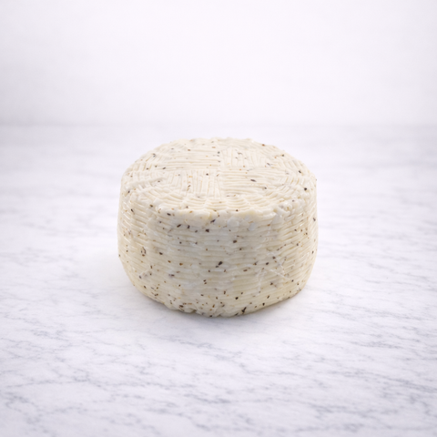 Primo Sale All'Origano